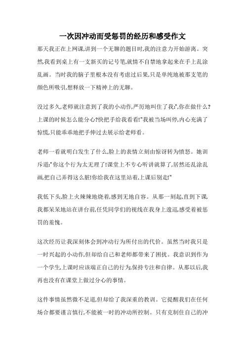 一次因冲动而受惩罚的经历和感受作文