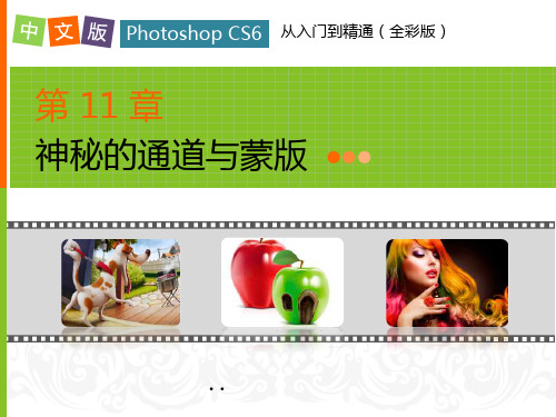 中文版PhotoshopCS6从入门到精通第11章精品PPT课件