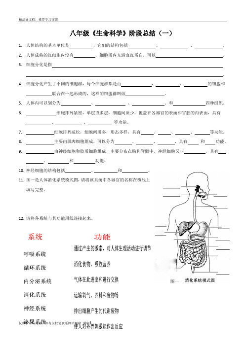 最新沪教版八年级生命科学阶段性总结(一)