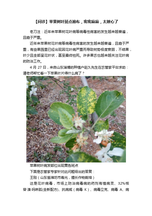 【问诊】苹果树叶斑点遍布，密密麻麻，太揪心了