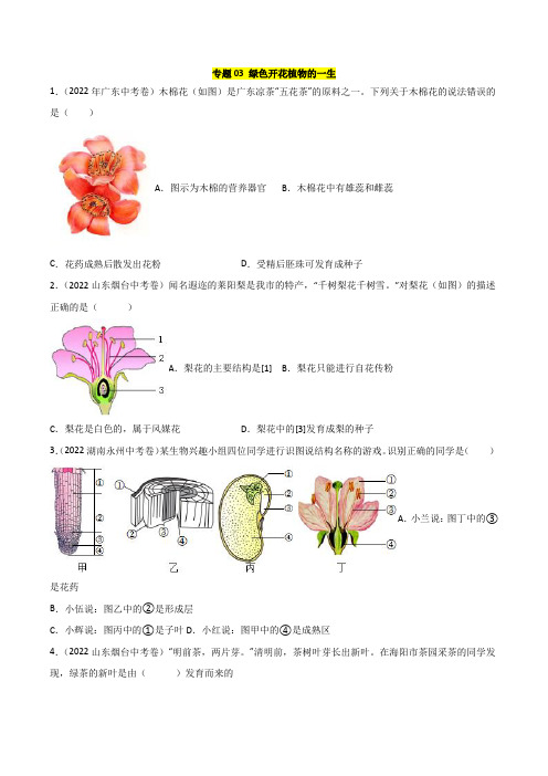 2022年全国生物中考真题(江苏河南广东四川湖南等)汇编专题03 绿色开花植物的一生(含详解)