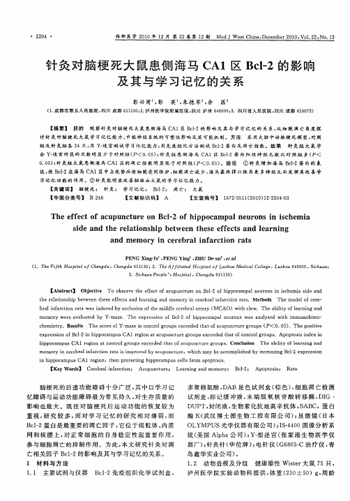 针灸对脑梗死大鼠患侧海马CA1区Bcl-2的影响及其与学习记忆的关系