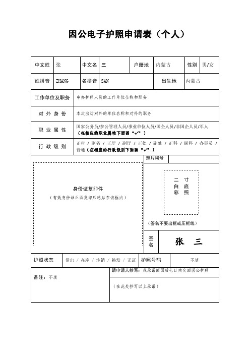 因公电子护照申请表个人