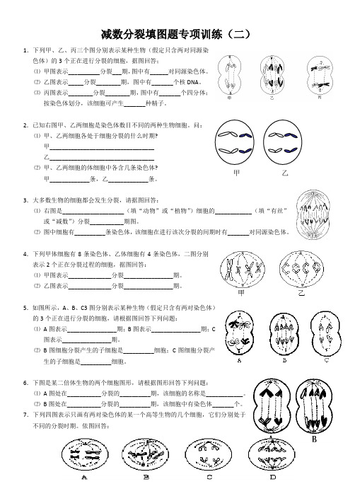 减数分裂大题专项训练