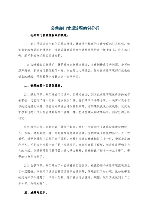 公共部门管理流程案例分析