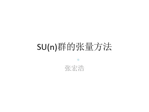 SU(n)群张量方法