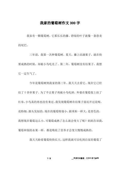 我家的葡萄树作文300字