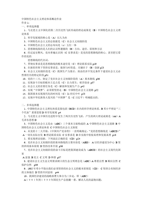 中国特色社会主义理论体系概论作业