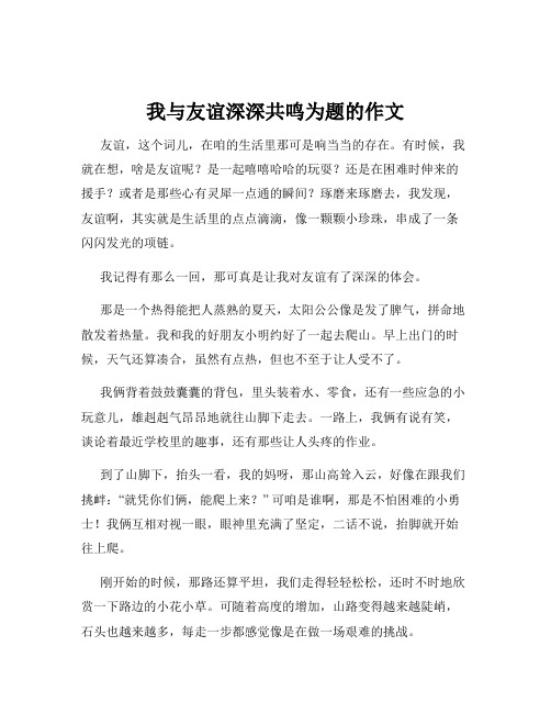 我与友谊深深共鸣为题的作文