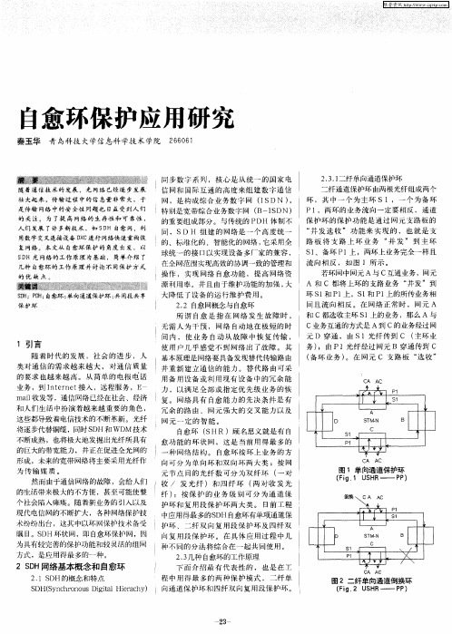 自愈环保护应用研究