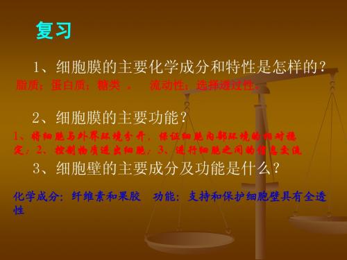 第三章第二节_细胞器——系统内的分工合作