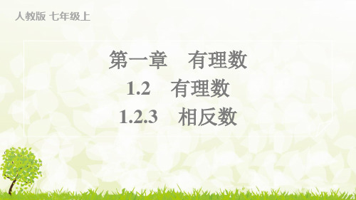 人教版2024-2025学年七年级数学上册1.2.3 相反数(习题课件)