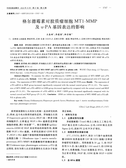 格尔德霉素对胶质瘤细胞MT1-MMP及u—PA基因表达的影响