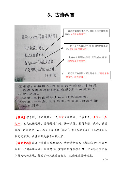 S版三年级语文下册第三课《古诗两首》知识点