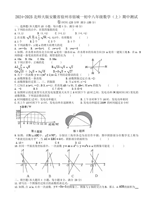 2024-2025安徽省宿州市宿城宿城第一初级中学八年级数学(上)期中测试卷(无答案)