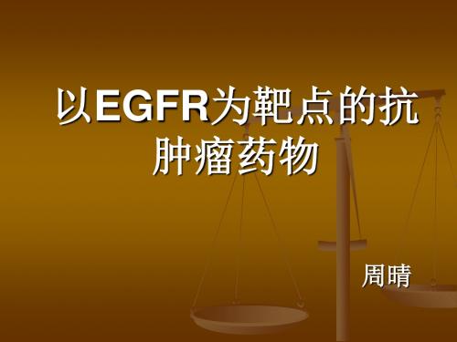 以EGFR为靶点的抗肿瘤药物-精品文档