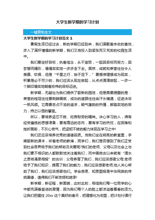 大学生新学期的学习计划范文6篇