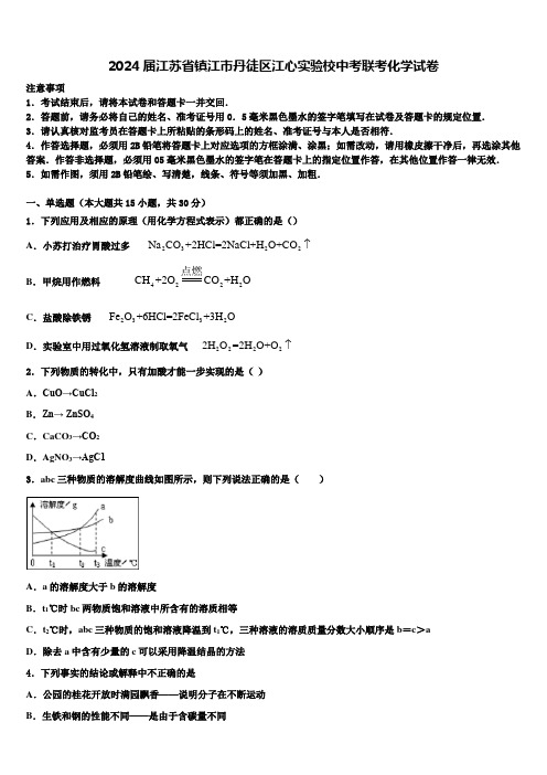 2024届江苏省镇江市丹徒区江心实验校中考联考化学试卷含解析