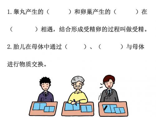 人教版 生物 七年级 下册 第四单元 第一章 第三节 青春期(27张PPT)