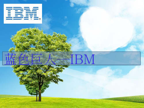 IBM公司简介