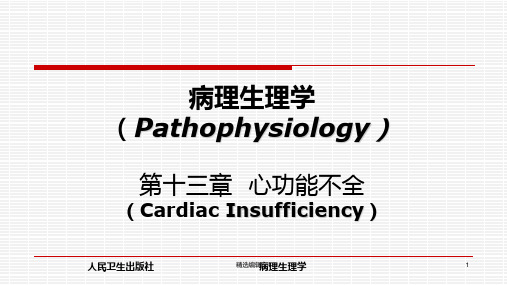 心功能不全ppt课件