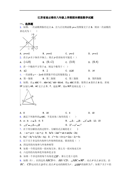 江苏省连云港市八年级上学期期末模拟数学试题