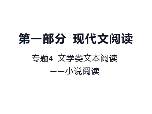 专题4:高考语文专题复习-文学类文本阅读(小说阅读)