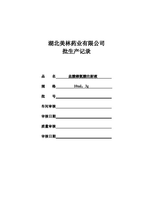 盐酸赖氨酸注射液批生产记录