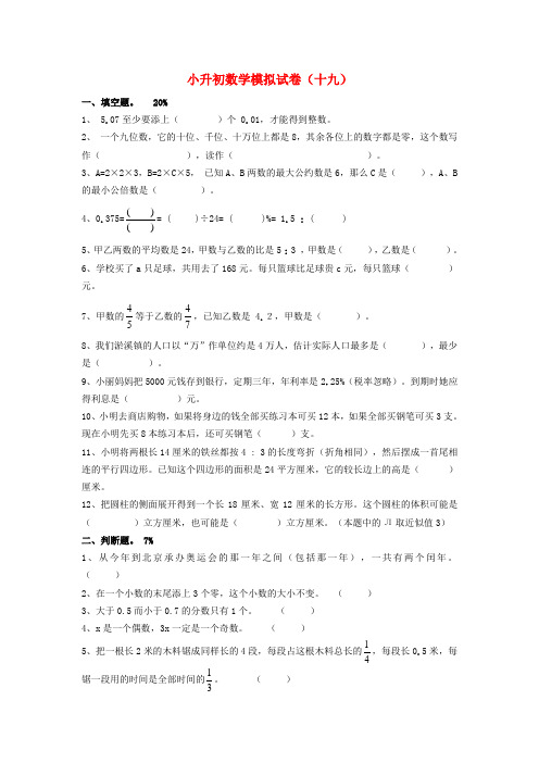 2011年小升初数学模拟试卷(十九)(无答案)