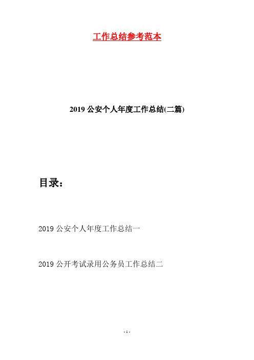 2019公安个人年度工作总结(二篇)