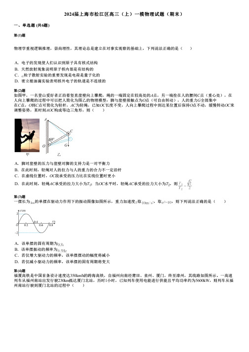 2024届上海市松江区高三(上)一模物理试题(期末)