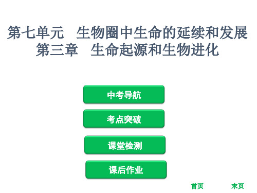 中考生物复习课件：第七单元 第三章 生命起源和生物进化(共59张PPT)