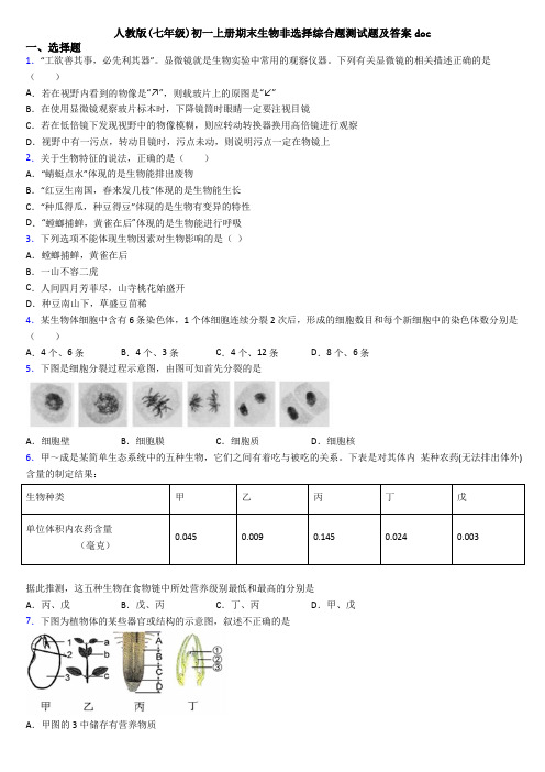 人教版(七年级)初一上册期末生物非选择综合题测试题及答案doc