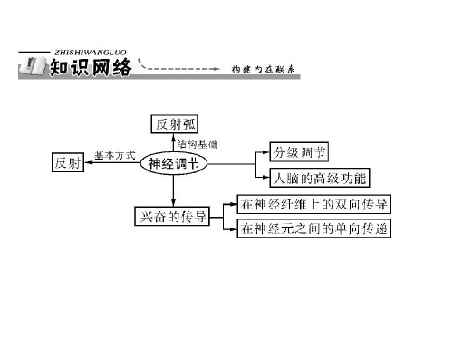 2.1.2兴奋的传导