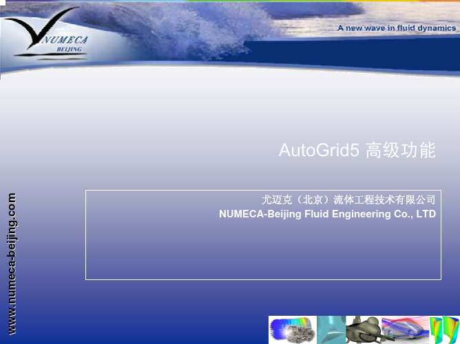 AutoGrid5 高级功能