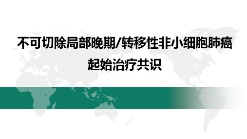 不可切除局部晚期转移性非小细胞肺癌起始治疗共识