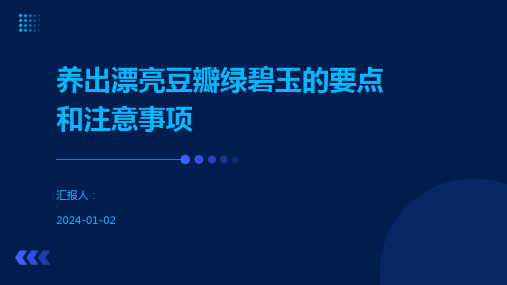 养出漂亮豆瓣绿碧玉的要点和注意事项