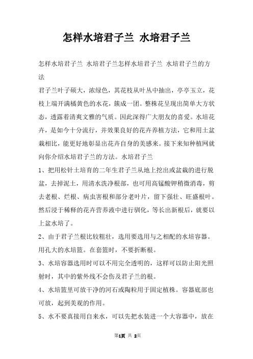 怎样水培君子兰 水培君子兰