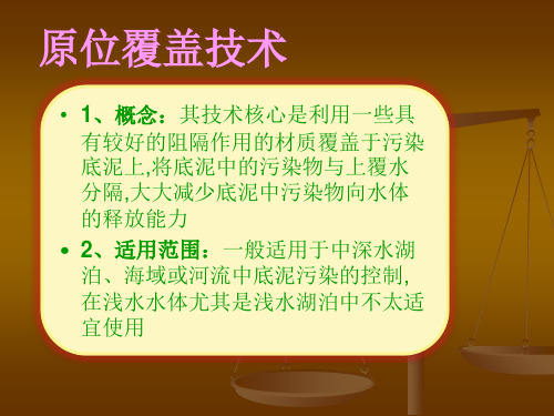 底泥污染——原位覆盖技术