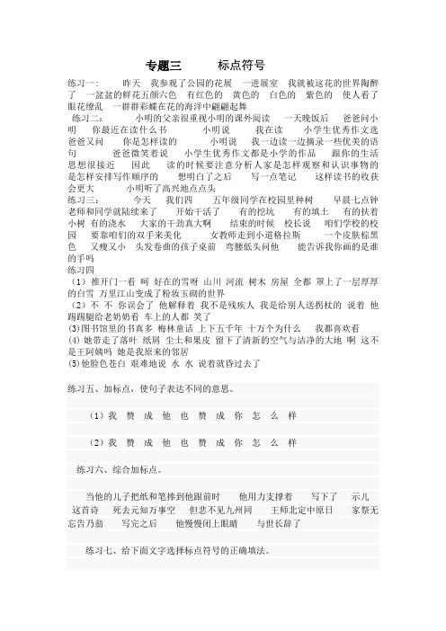 小学升初中语文标点符号专题练习