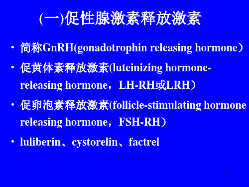 促性腺激素释放激素PPT课件