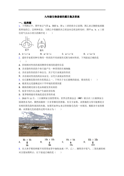 九年级生物易错的题目集及答案