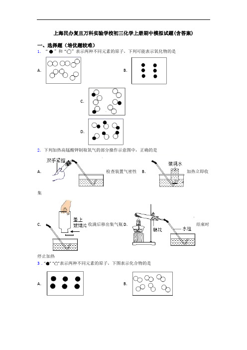 上海民办复旦万科实验学校初三化学初三化学上册期中模拟试题(含答案)