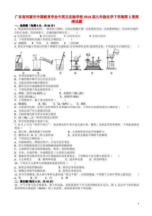 广东省河源市中国教育学会中英文实验学校九年级化学下学期第2周周清试题