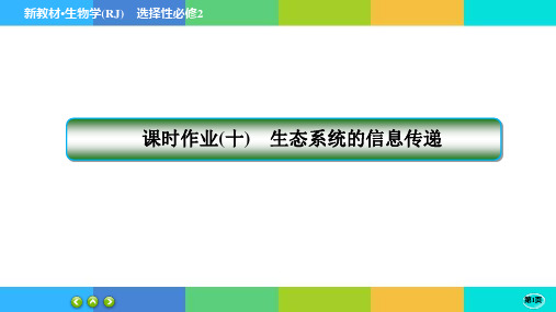 高中生物学选择性必修2课时作业10