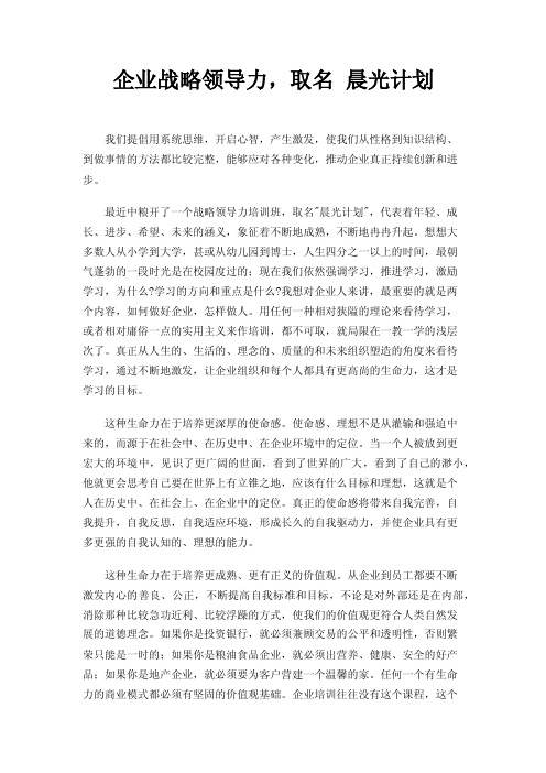 企业战略领导力，取名晨光计划