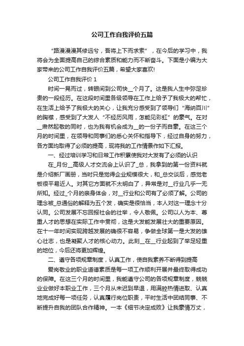 公司工作自我评价五篇