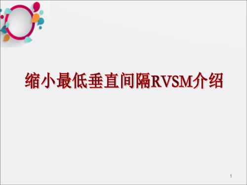 [交通运输]RVSM空域运行程序及注意事项