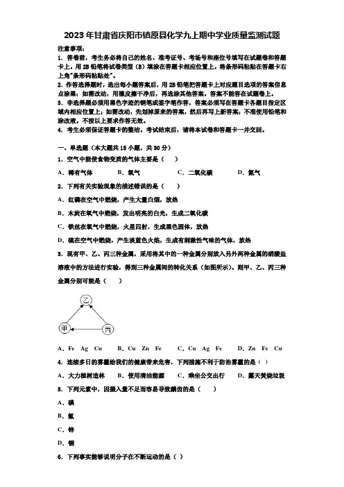 2023年甘肃省庆阳市镇原县化学九上期中学业质量监测试题含解析