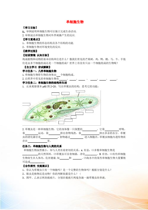 七年级生物上册 2.2.4 单细胞生物导学案(新版)新人教版